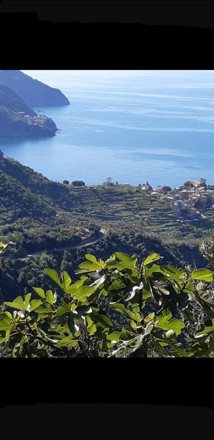 Affittacamere Il Timone Corniglia Exterior photo