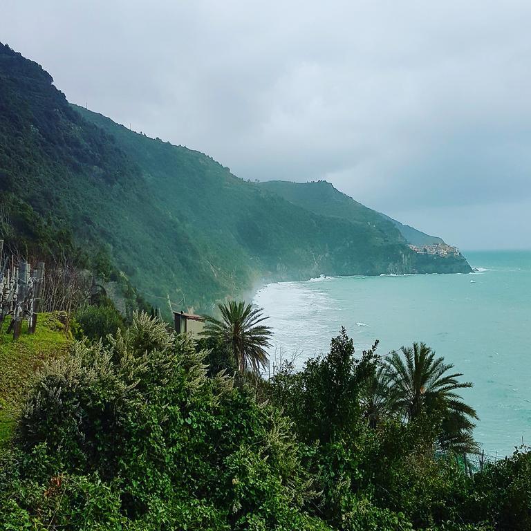 Affittacamere Il Timone Corniglia Exterior photo